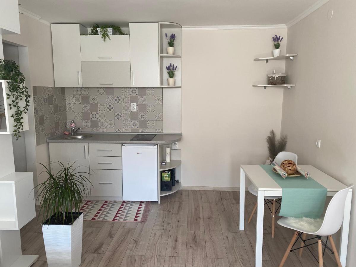 Apartman Lola Appartement Novi Sad Buitenkant foto