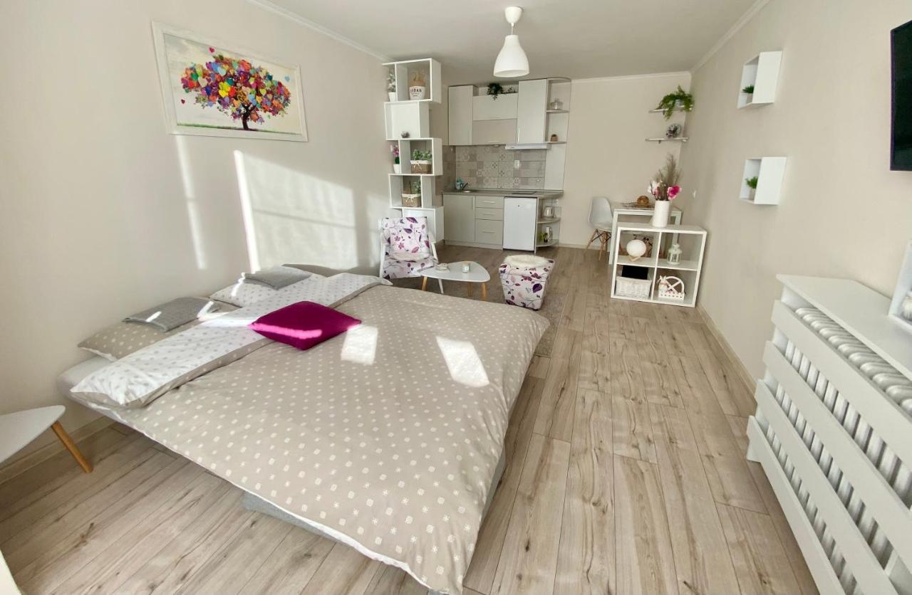 Apartman Lola Appartement Novi Sad Buitenkant foto